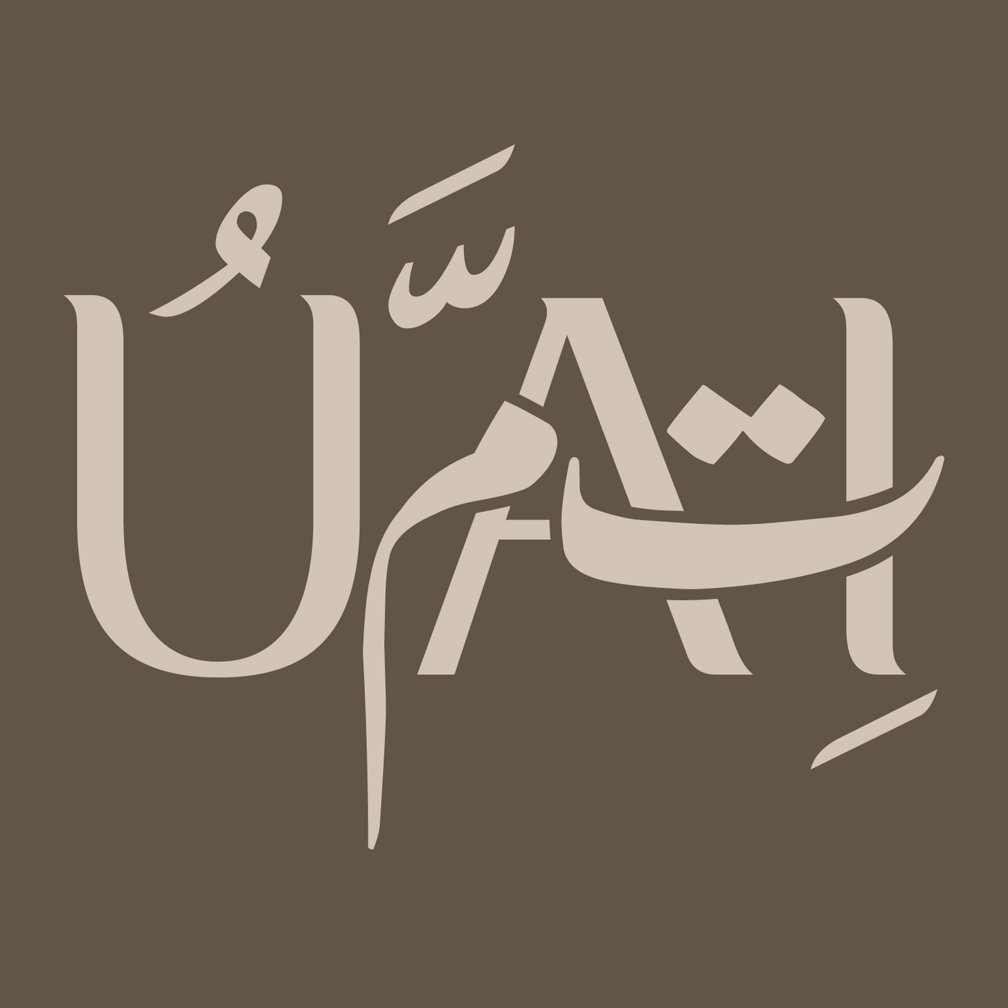 World Hereafter Hoodie – Earth Brown Edition